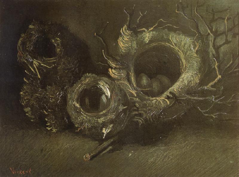 Vincent Van Gogh Still life wtih Three Birds'Nests (nn04) China oil painting art